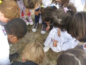 classe 1 in giardino